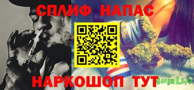 тгк Заводоуковск