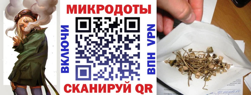 Галлюциногенные грибы Psilocybe  Нижневартовск 
