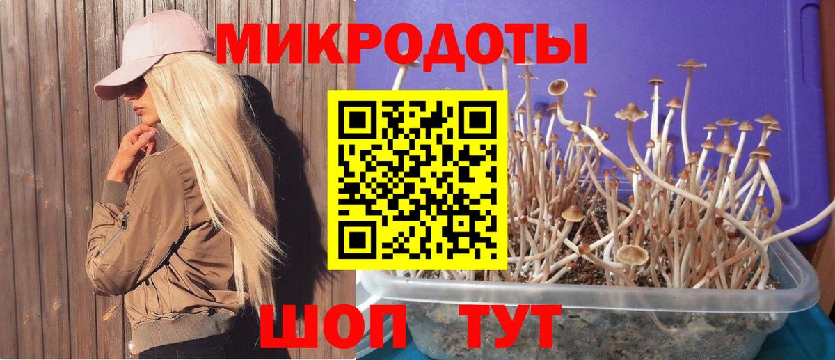 Нижневартовск  Галлюциногенные грибы мухоморы  Вход с VPN 